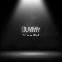 Dummy (Radio Edit)