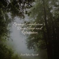 Spring Compilation | Deep Sleep and Relaxation