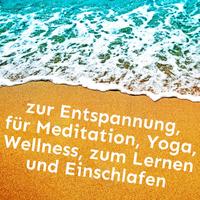 Meeresrauschen Sounds Arno Holmberg资料,Meeresrauschen Sounds Arno Holmberg最新歌曲,Meeresrauschen Sounds Arno HolmbergMV视频,Meeresrauschen Sounds Arno Holmberg音乐专辑,Meeresrauschen Sounds Arno Holmberg好听的歌