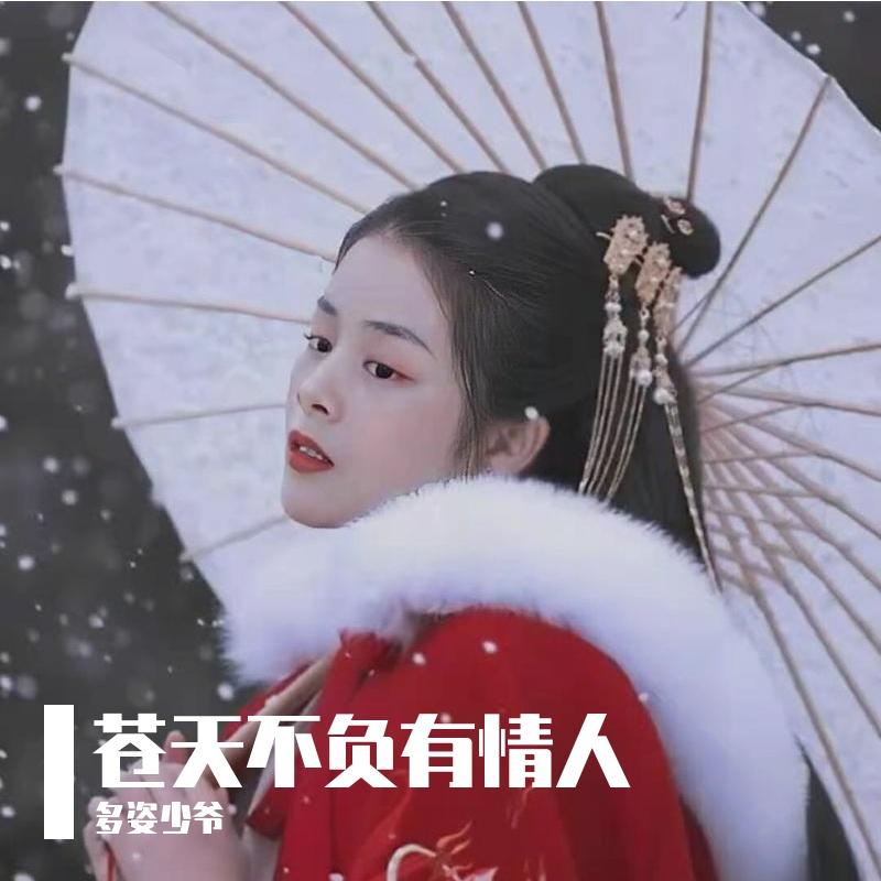 苍天不负有情人封面