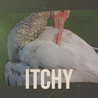 Itchy