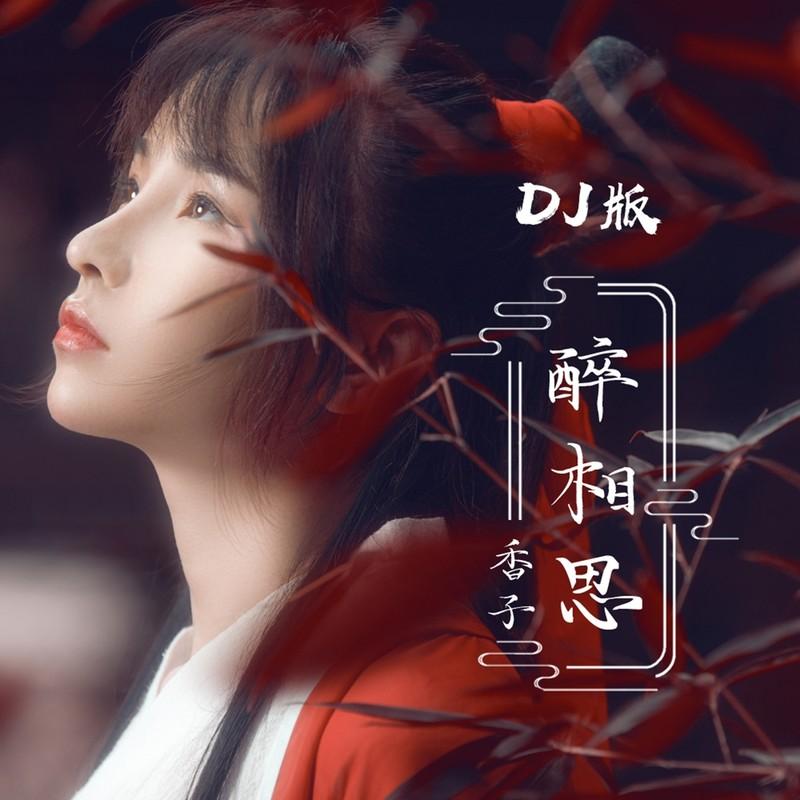 醉相思 (DJ名龙版) - 香子封面