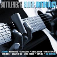 Bottleneck Blues Anthology