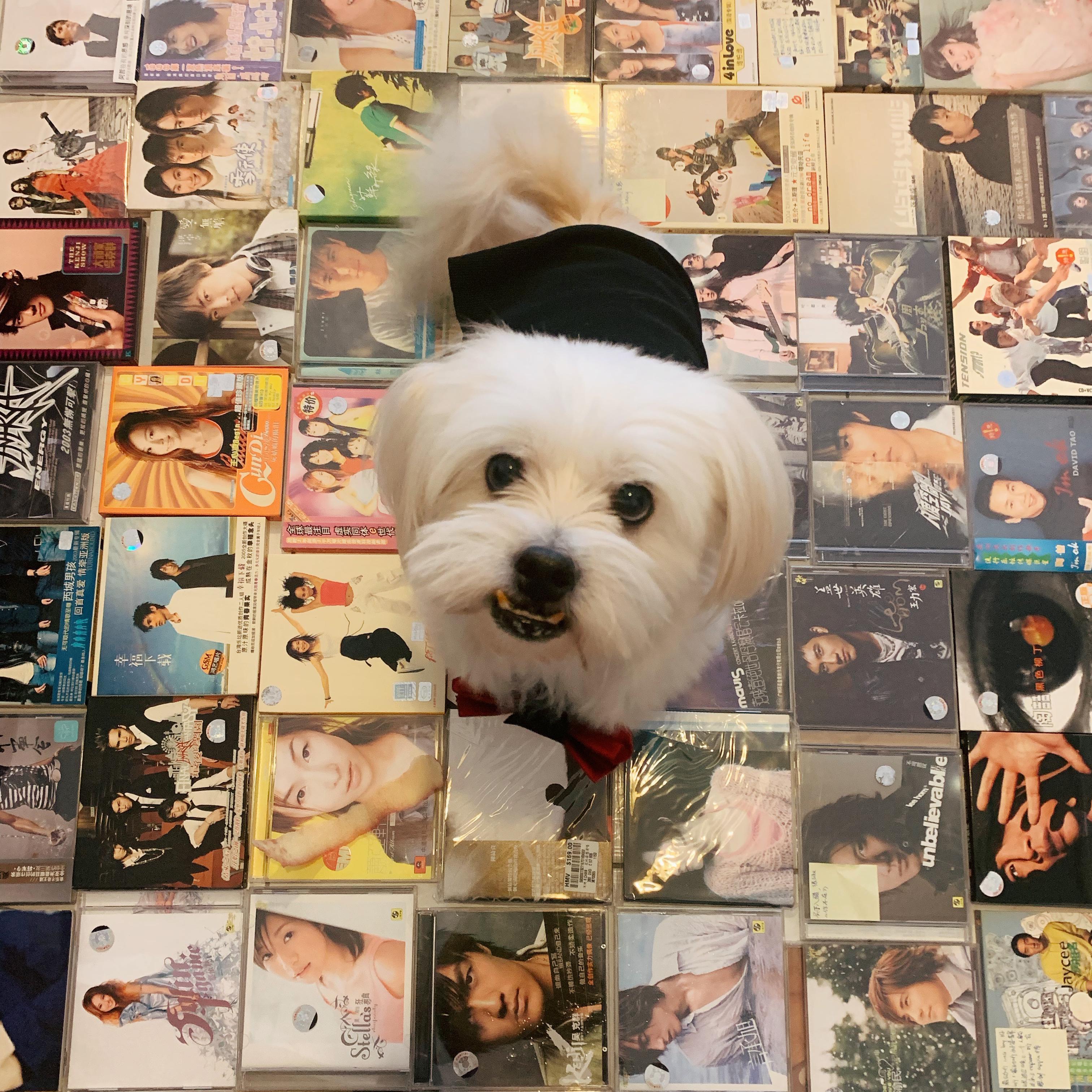 I Know You Know I Love You