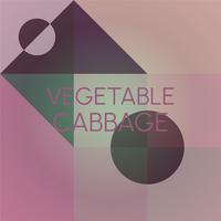 Vegetable Cabbage