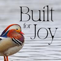 Built for Joy (feat. Amy Burgess, Jacob Fjeldheim, Benji Goldsmith, Alex Syiek, Kara Arena, Keri René Fuller, Forest VanDyke, Jason Pintar, Jaygee Macapugay, Melanie Burg, Kennedy Kanagawa, Belén Moyano, Trevor Bunce, Katie Emerson, Cori Jaskier, Amy Wein