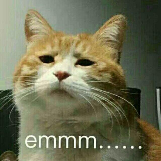 沧海天涯月未眠