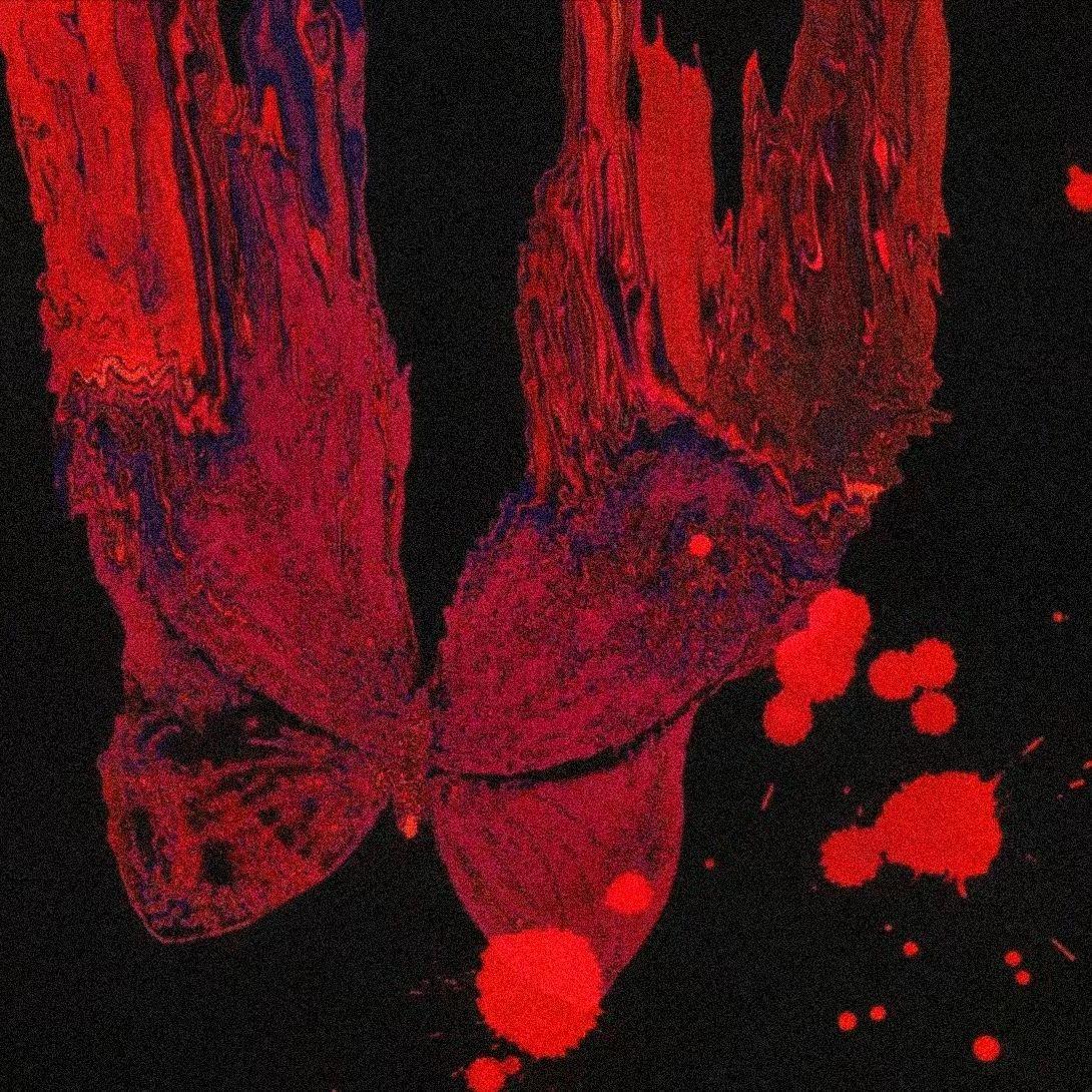 paper tigers（prod by neverkilltheape）