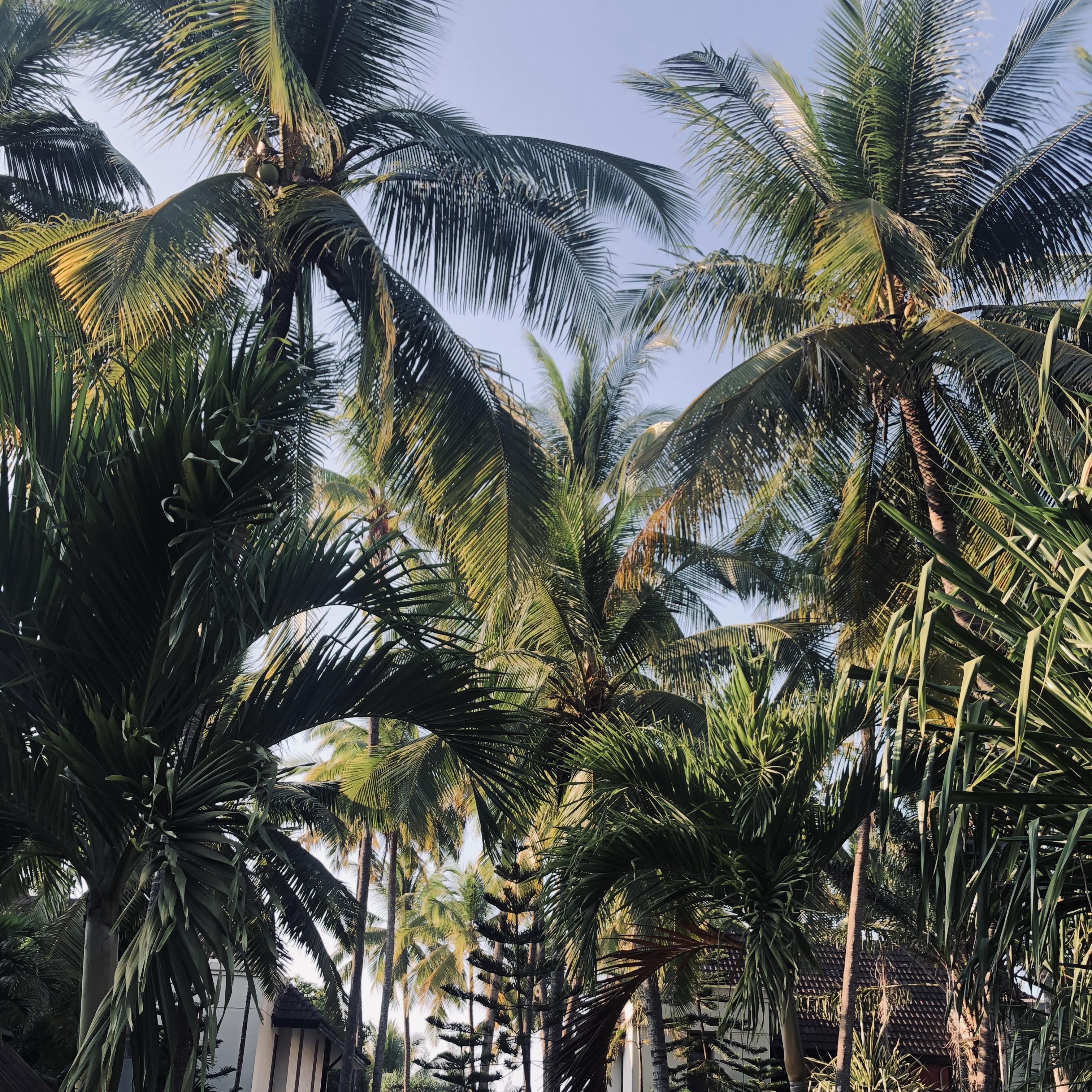 如何治愈（prod by Lisure）