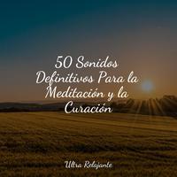 50 Sonidos Definitivos Para la Meditación y la Curación