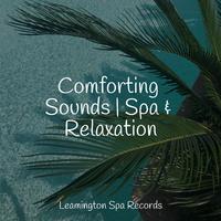 Comforting Sounds | Spa & Relaxation