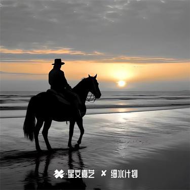 长安姑娘封面