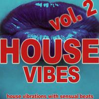 House Vibes, Vol. 2