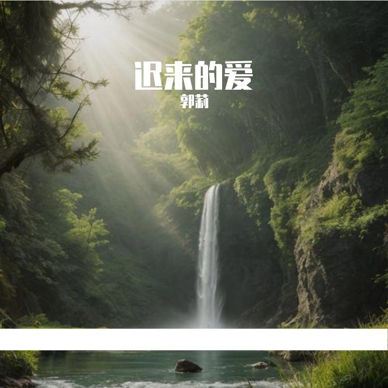 迟来的爱 （深情版）封面