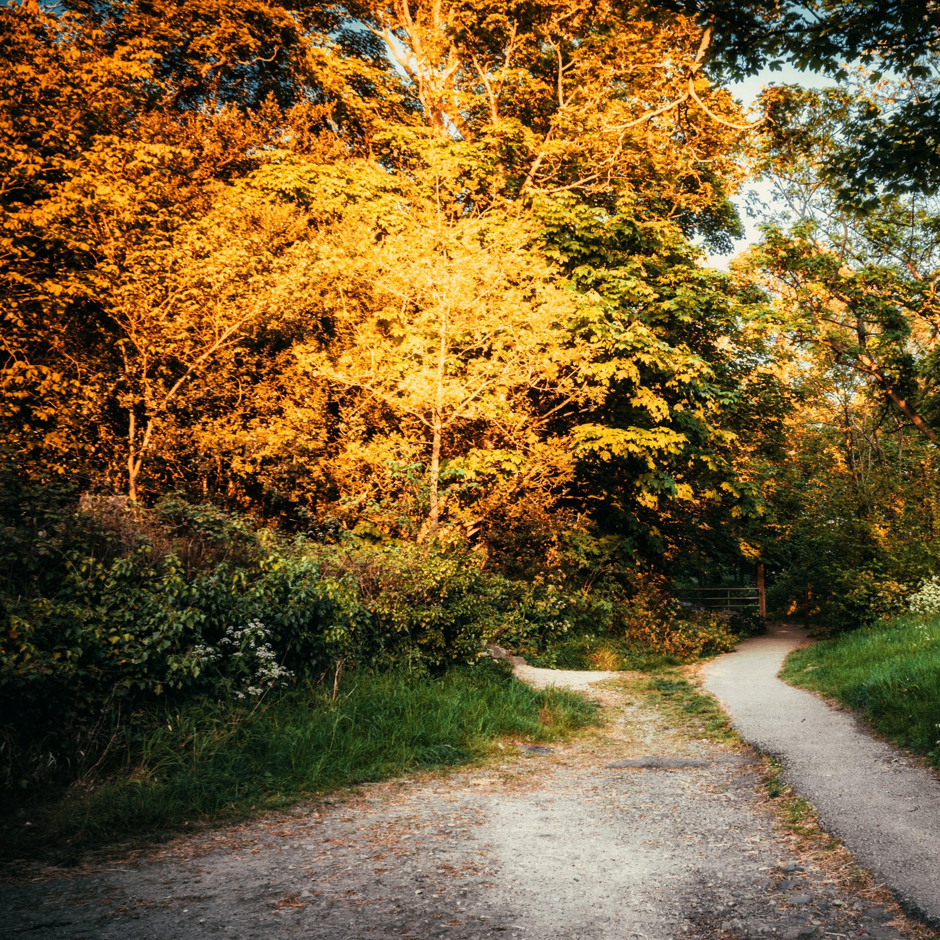 Flowers in Bloom Active Baby Music Musica BemEstar