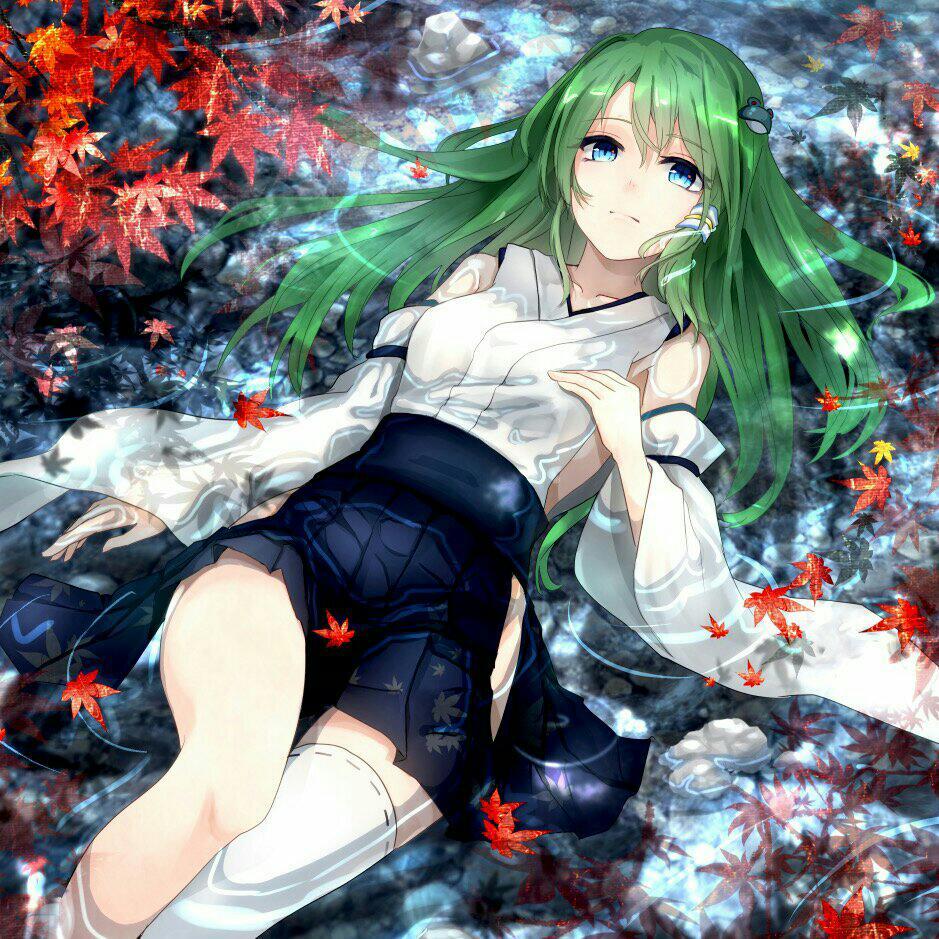 踏马西行仍不悔