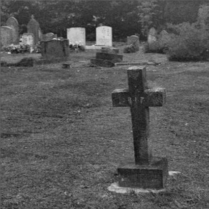 ...............................