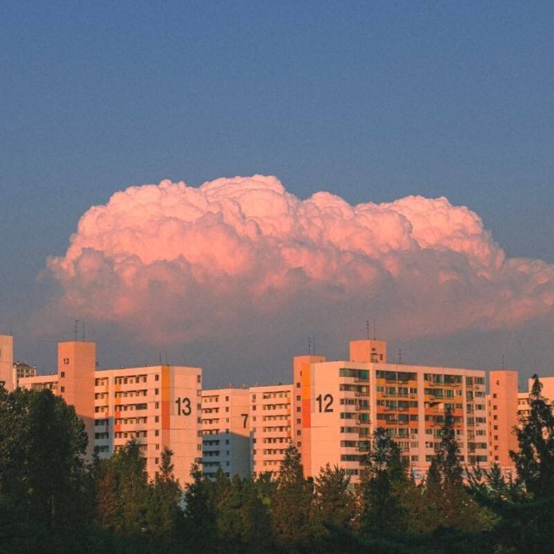 情人（翻自 蔡徐坤）