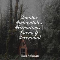 Sonidos Ambientales Afirmativos | Sueño Y Serenidad