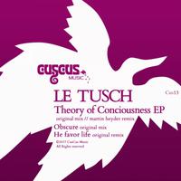 Theory of Consciousness