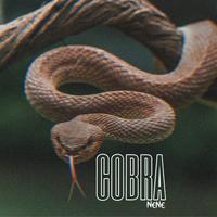 Cobra