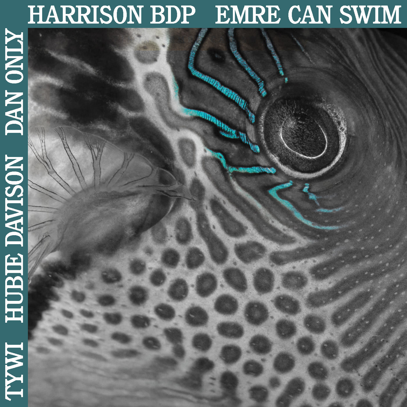 Hear Me Through (Harrison BDP Remix)