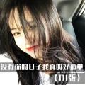 没有你的日子我真的好孤单 (DJ版)封面