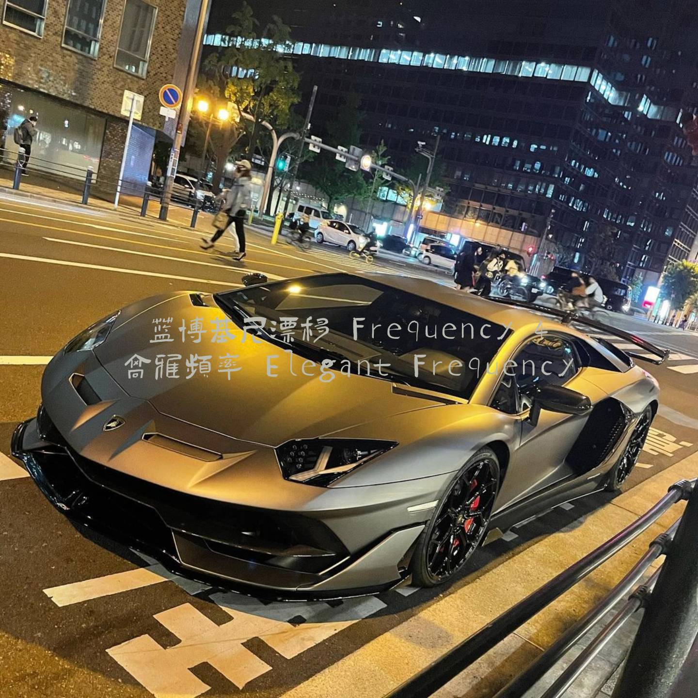 逮虾户 - 高雅频率 Elegant Frequency封面