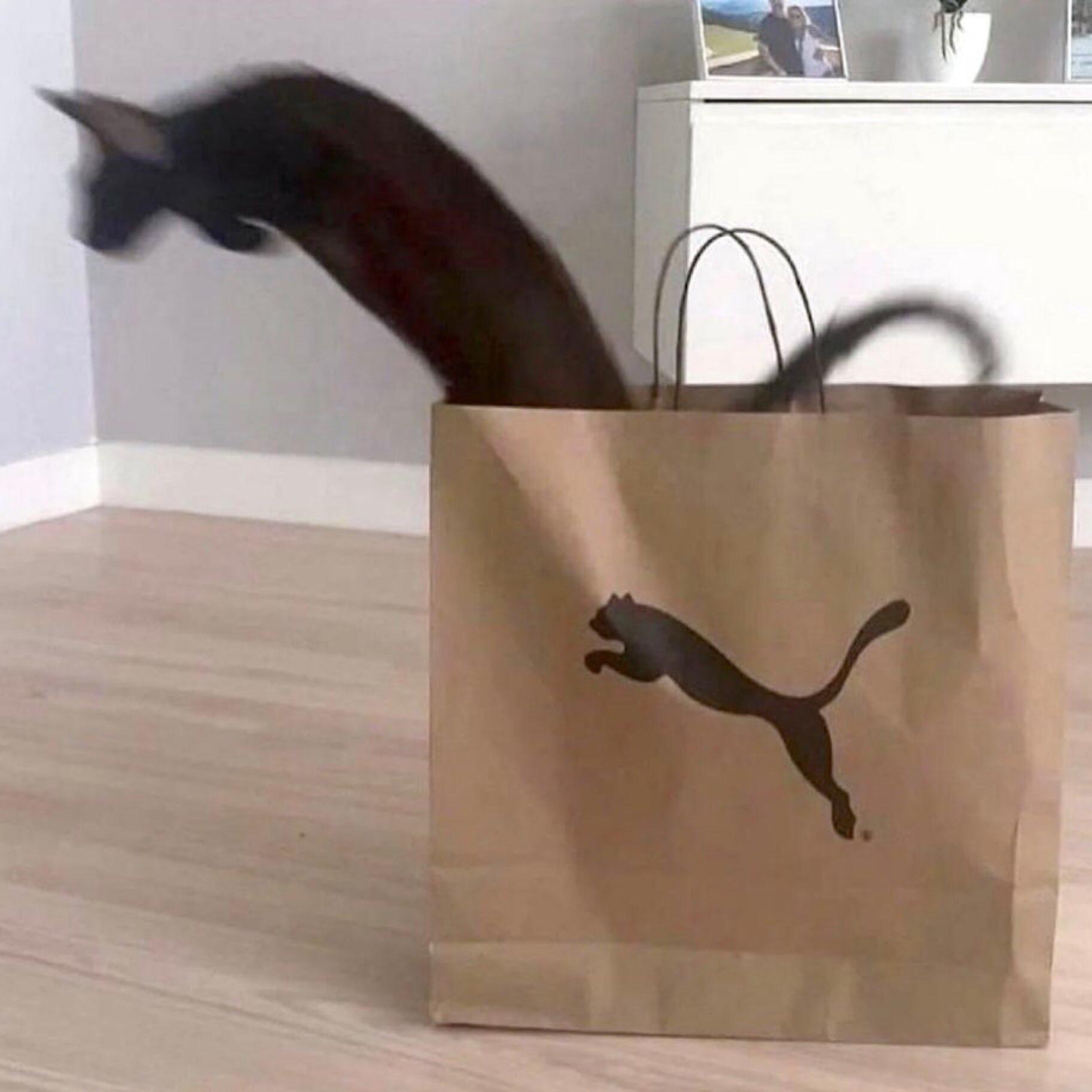 lilced on the beat.mp3