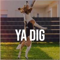 Ya Dig