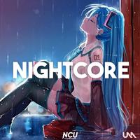 Nightcore Vol.1