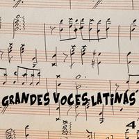 Grandes Voces Latinas Vol. 4