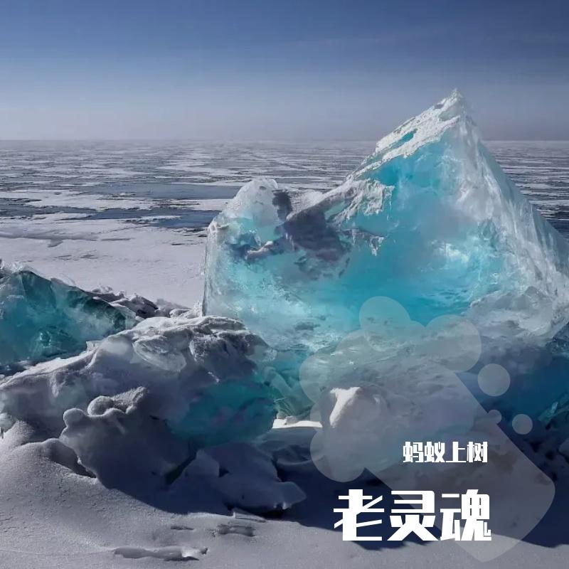 墨尔本晴封面