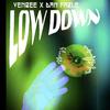 venbee - low down (Ben Rainey Remix)