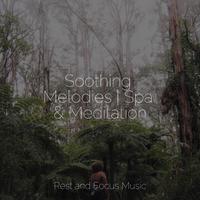 Soothing Melodies | Spa & Meditation