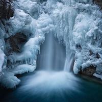 雪落香杉树(Snow Falling on Cedars)