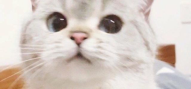 禾包头像