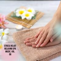 Stress Relief Relaxing Spa Music, Vol. 06