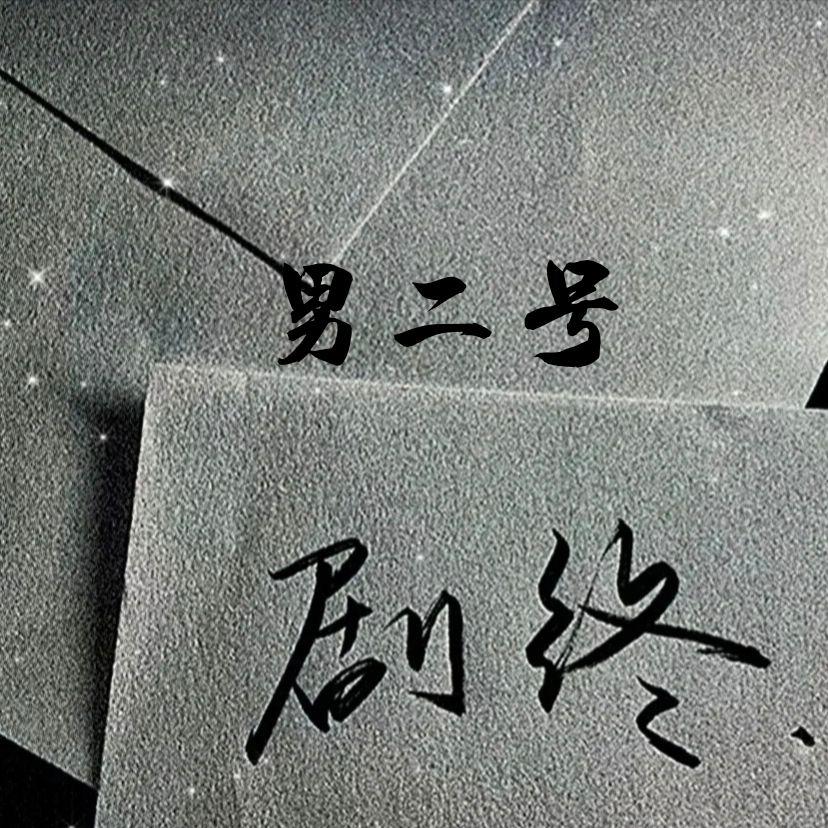 男二号封面