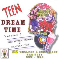 Teen Dream Time Volume 3: HighSchool Heroes & Campus Cuties