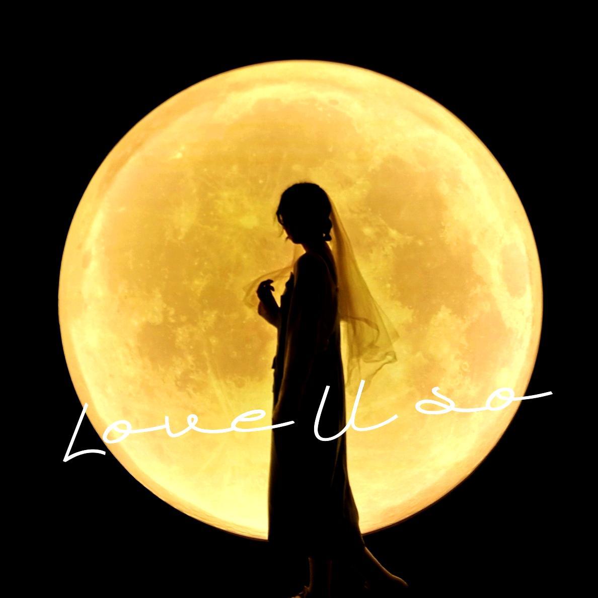 LOVE U SO (prod by Lv9)封面