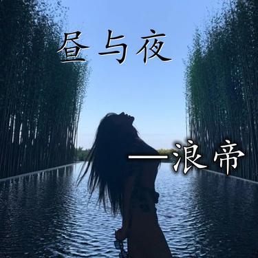面对疾风吧 (DJ版) - 浪帝封面