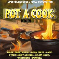 Pot a Cook Riddim