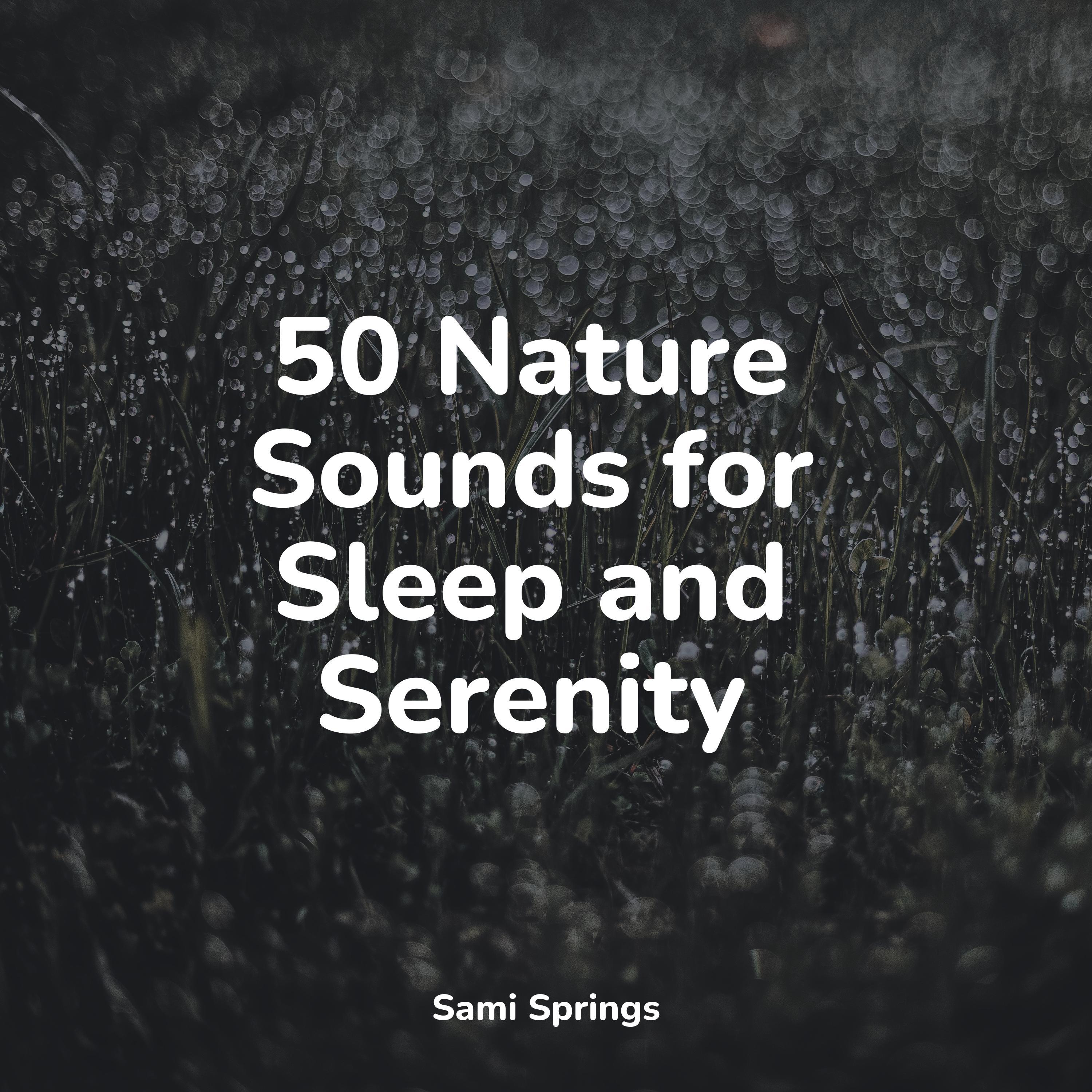 50 Nature Sounds for Sleep and Serenity - Restaurant Background Music ...