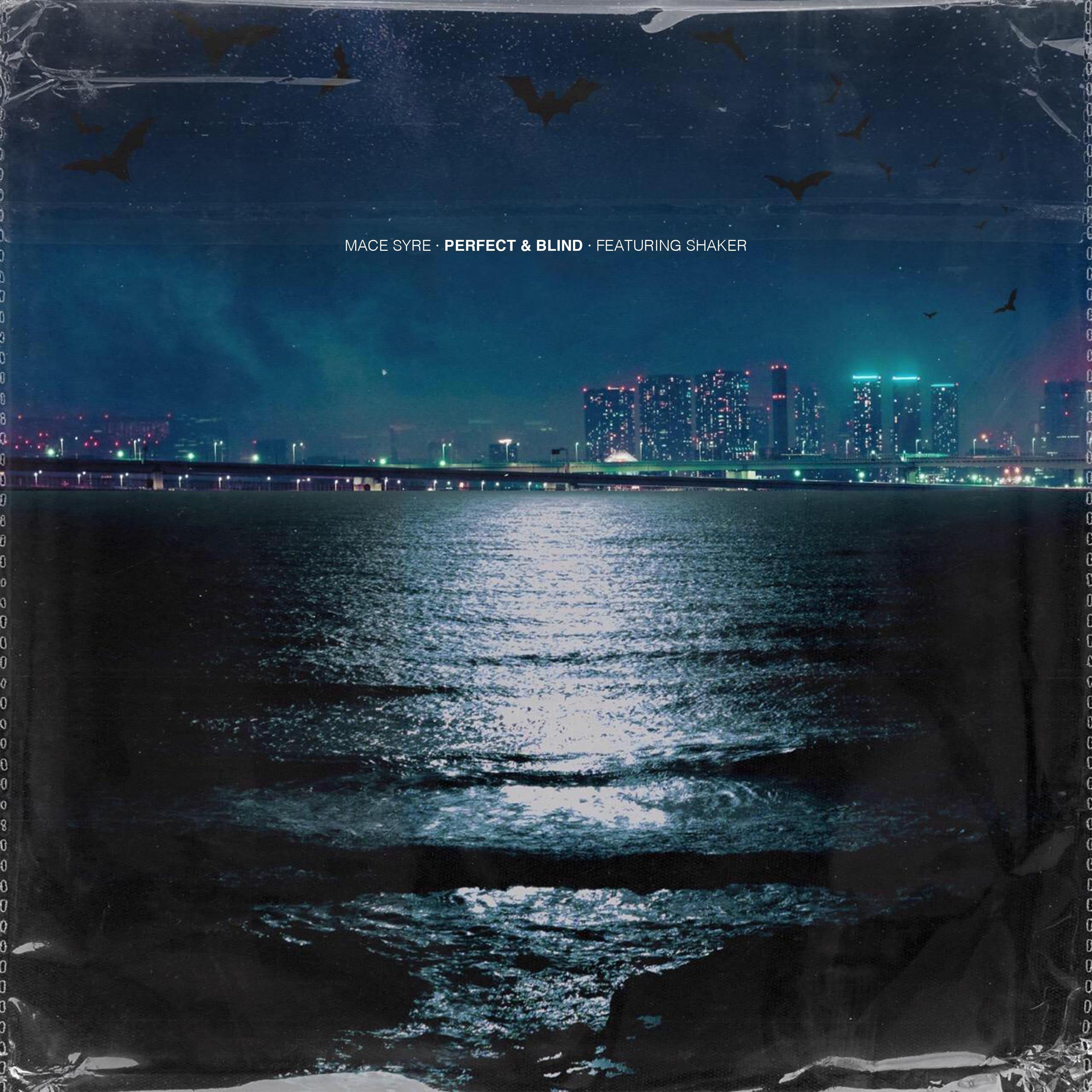 Perfect & Blind (feat. Shaker)