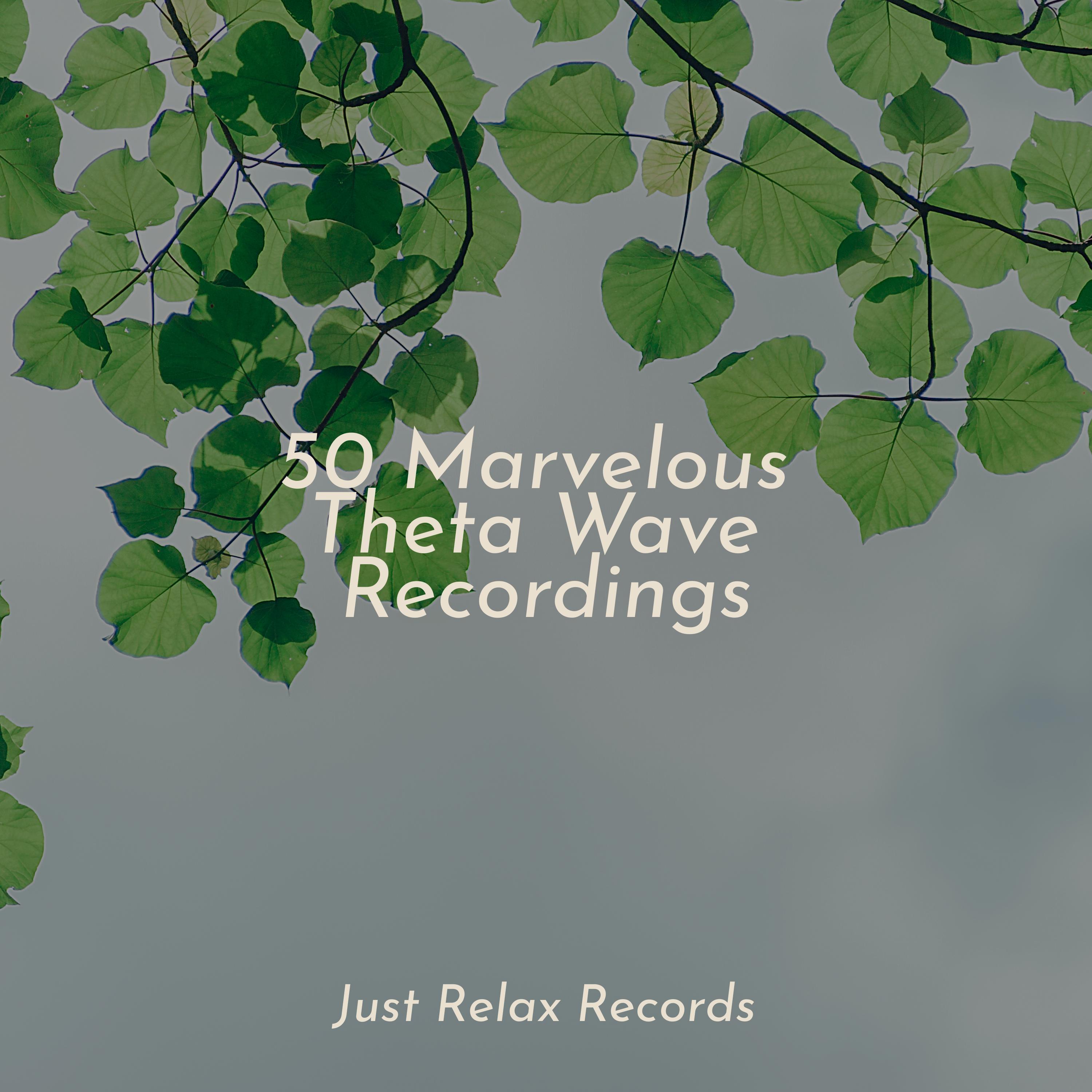 Shadowed Memories Unfold Dog Music/Relaxing Mindfulness Meditation