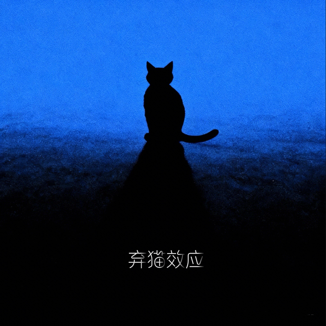 弃猫效应(女生节奏氛围版)