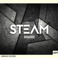 Steam