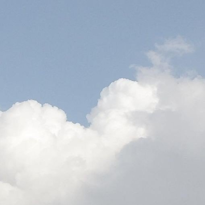 大洋的精彩夏天