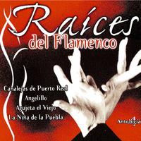 Raíces Del Flamenco (Antología 4)